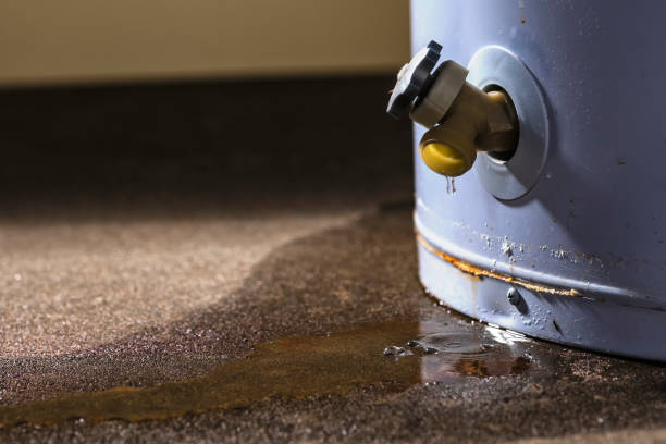 Best Water damage restoration near me  in Buffalo, MO