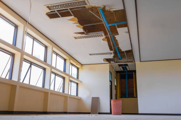 Water damage restoration insurance claims in Buffalo, MO