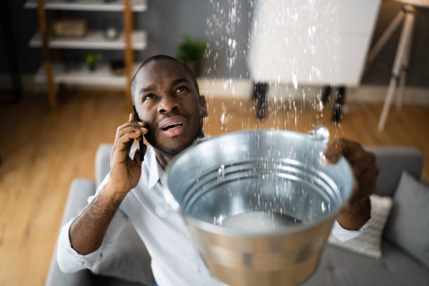 Best Basement water damage restoration  in Buffalo, MO