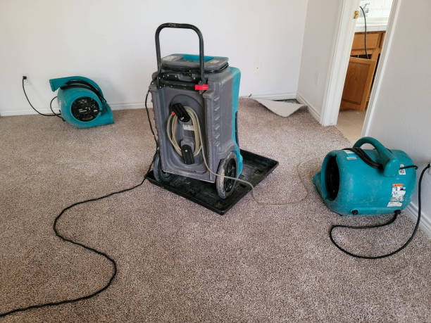 Best Water damage cleanup near me  in Buffalo, MO