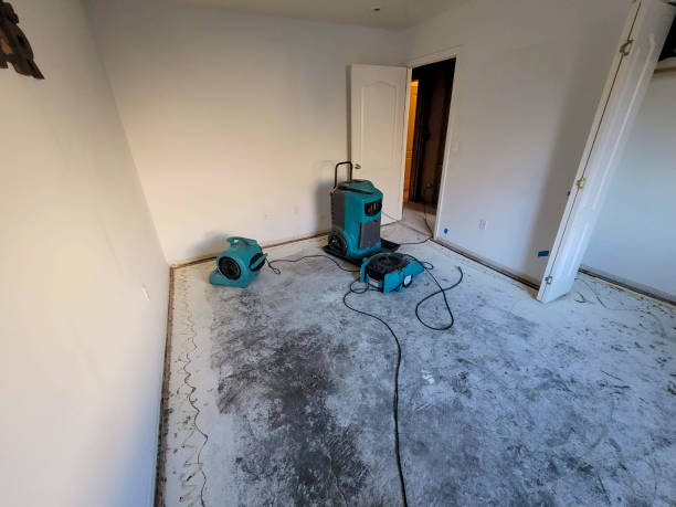 Best Mold removal after water damage  in Buffalo, MO