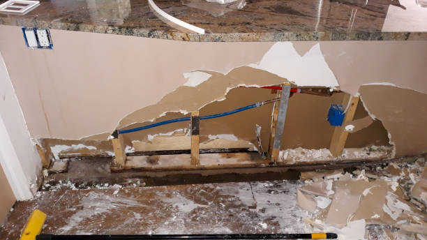 Best Water damage restoration insurance claims  in Buffalo, MO