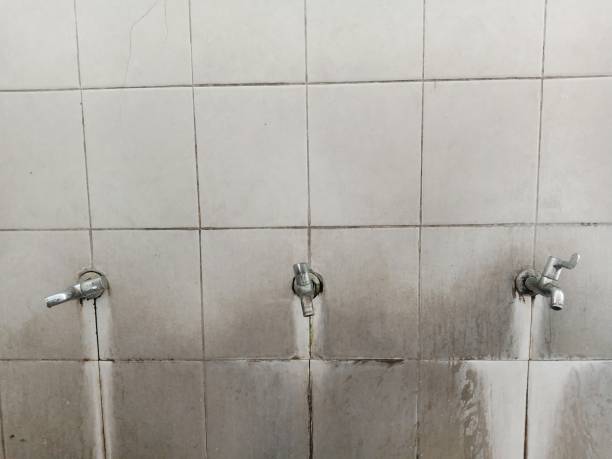 Best Water damage restoration near me  in Buffalo, MO