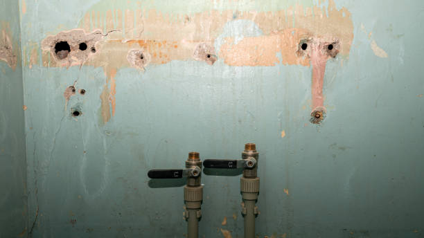 Best Commercial water damage restoration  in Buffalo, MO