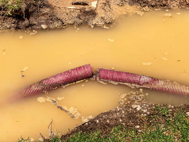 Best Professional water damage repair  in Buffalo, MO