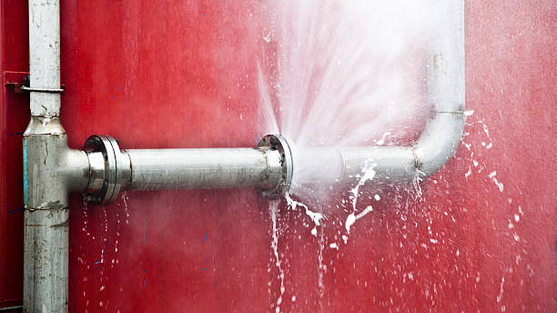 Best 24/7 water damage repair  in Buffalo, MO
