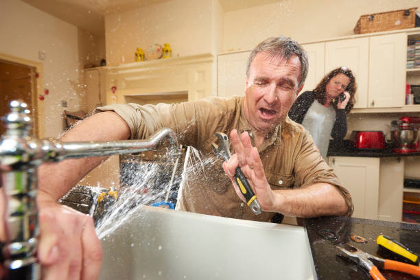 Best Mold removal after water damage  in Buffalo, MO